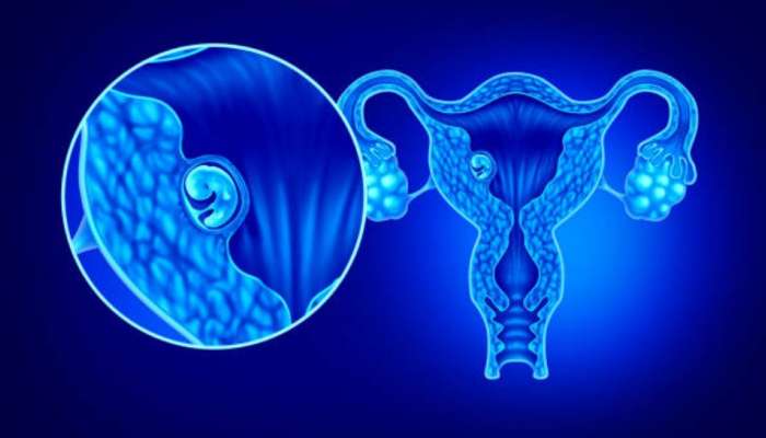 Pregnancy Tips: கருச்சிதைவுக்குப் பிறகு IVF? நீங்கள் தெரிந்து கொள்ள வேண்டியது  title=