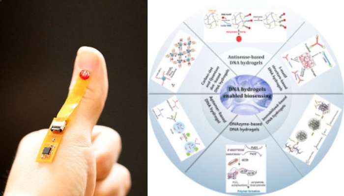 காயங்களில் பாக்டீரியா தொற்றுகள் ஏற்படாமல் தடுக்கும் DNA சென்சார்! விஞ்ஞானத்தின் அற்புதம்