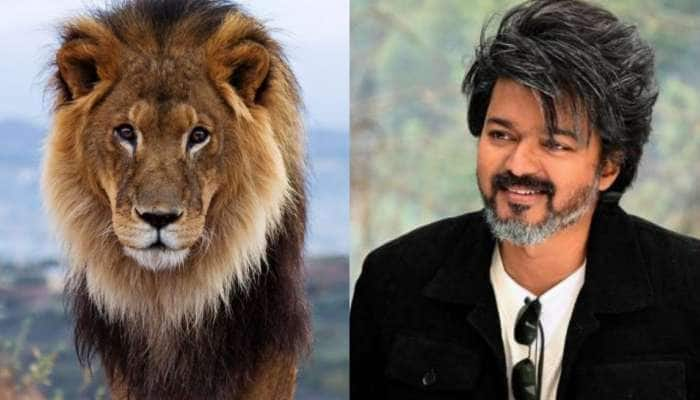 'லியோ' படத்தில் தளபதி விஜய்யுடன் நடிக்கும் ரியல் சிங்கம்! வெளியானது லேட்டஸ்ட் அப்டேட்! title=