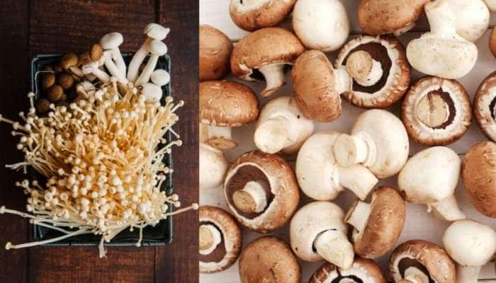 லட்சங்களில் வருமானத்தை அள்ளித் தரும் காளான் வளர்ப்பு!
