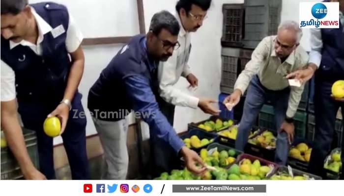 25000 kg of fruits ripened with chemicals seized