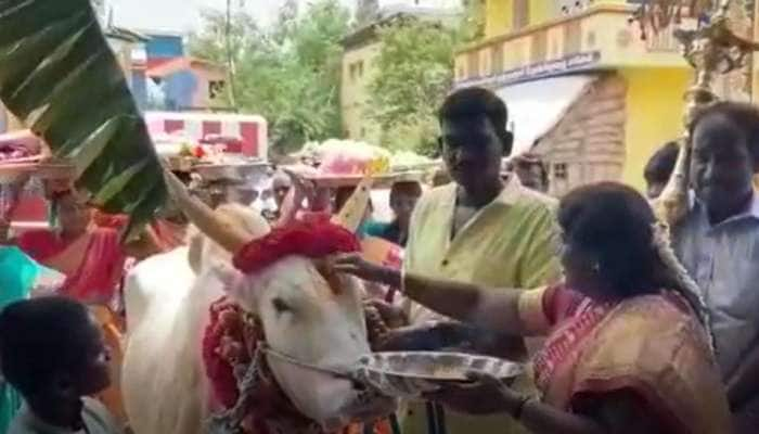 மதுரை: மாமன் சீராக மாட்டை பரிசளித்த மாடு பிடி வீரர்..உறவினர்கள் நெகிழ்ச்சி!