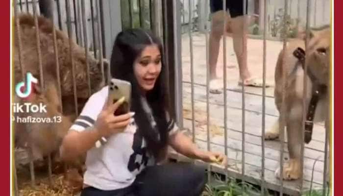 Girl Takes Selfie with Lioness Bear: See What Happens Next 