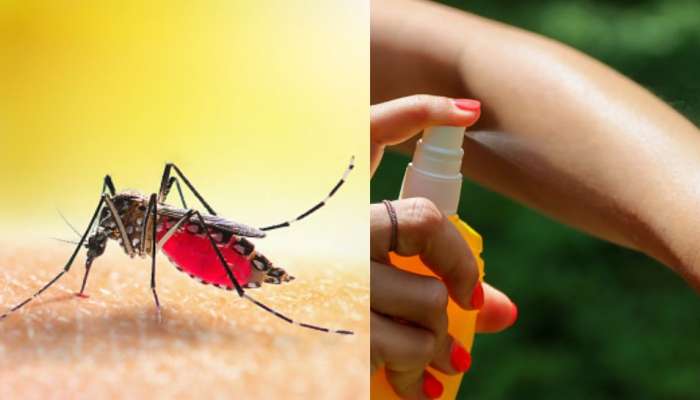 Dengue Prevention: கொசுத்தொல்லை இனிமேல் இல்லை..டெங்கு கொசுக்களை விரட்டியடிக்க இதை ட்ரை பண்ணுங்க!