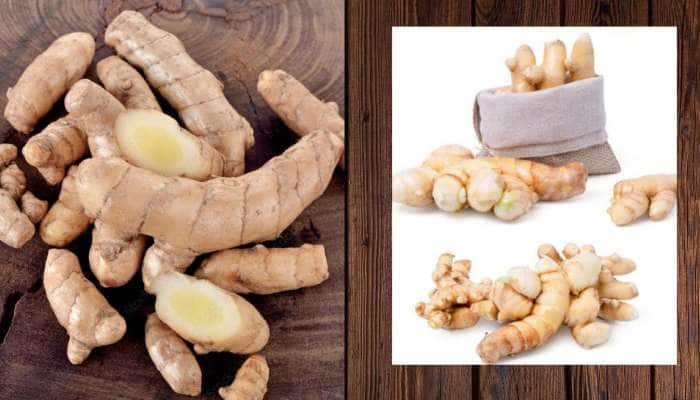 White Turmeric: வியக்கத்தக்க ஆரோக்கிய நன்மைகளை அள்ளித்தரும் வெள்ளை மஞ்சள்!