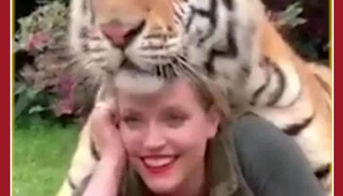 Scary Photoshoot of Woman with Tiger: Video Goes Viral