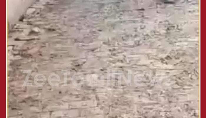 Unbelievable Viral Video: Deer Kicks Man Who Takes Photo, Netizens Shocked 