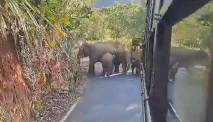 அரசுப் பேருந்தை சிறைப்பிடித்த காட்டுயானைகள் - பயணிகளுக்கு செம ஷாக்: வைரல் வீடியோ