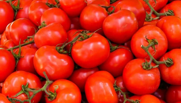 Tomato Price Hike: இந்த ஏரியாவில் தக்காளி கிலோ ரூ.25க்கு விற்பனை! title=