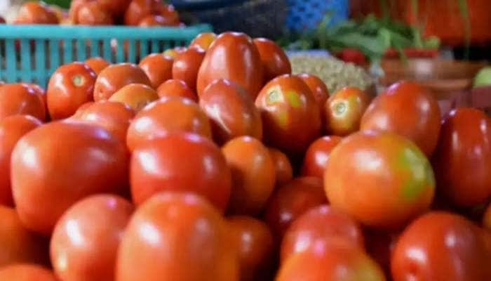 Tomato price: தக்காளி விலை எப்போது குறையும்? வெளியான அதிர்ச்சி தகவல்! title=