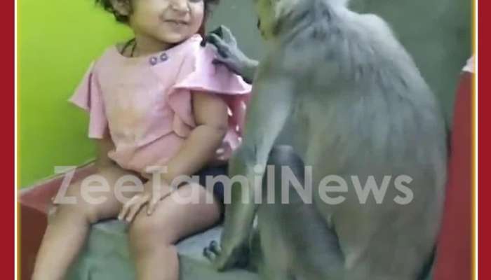 Funny Monkey Little Girl Friendship: Monkey Kisses, Girl React, Netizens Melt