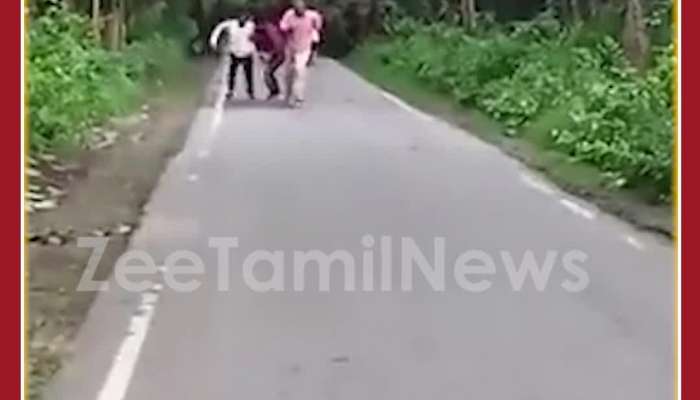 Scary Viral Video: Angry Elephant Chases 3 Men Taking Selfie