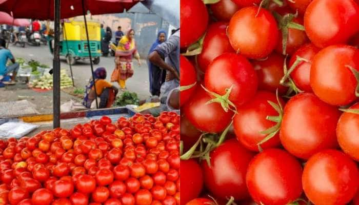 Tomato Price: ஒரு கிலோ தக்காளி 70 ரூபாய்க்கு விற்பனையா..? இன்றைய காய்கறி விலை நிலவரம்!