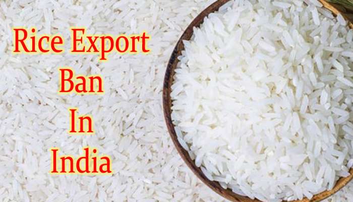 Rice Export Ban: அரிசி ஏற்றுமதிக்கு தடை விதித்த அரசு, ஏன் இப்படி ஒரு முடிவை எடுத்தது தெரியுமா?