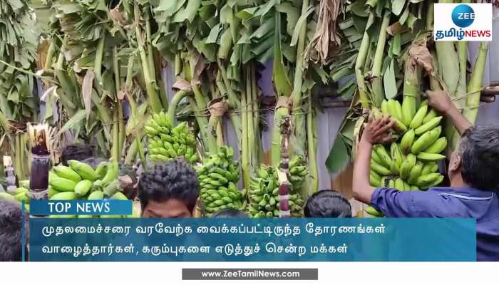 வாழைத்தார்களை சூறையாடிய மக்கள்!