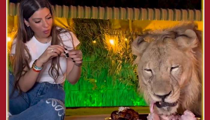 Shocking Video: Girl Eats With Lion in Same Plate