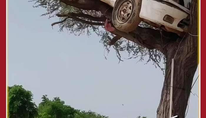 Car Parked on Tree: Unbelievable Viral Video