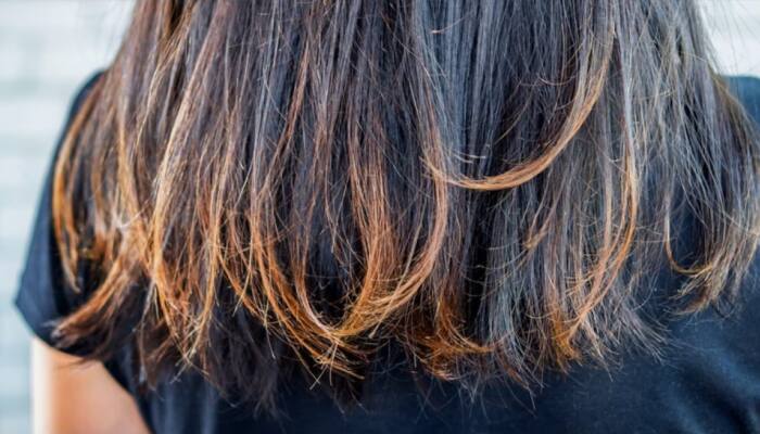 முடியில் Split Ends பிரச்னையா... இந்த 3 தீர்வுகளை வீட்டிலேயே செய்யலாம்