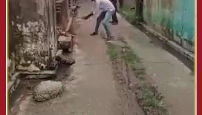 Horrifying!! Man Beats Baby Monkey To Death: Shocking Viral Video