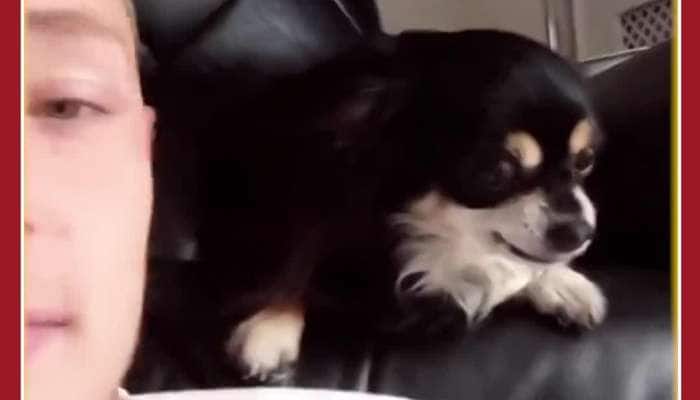 Funny Dog Viral Video: Dog's Reaction After Kissing Man is Adorable
