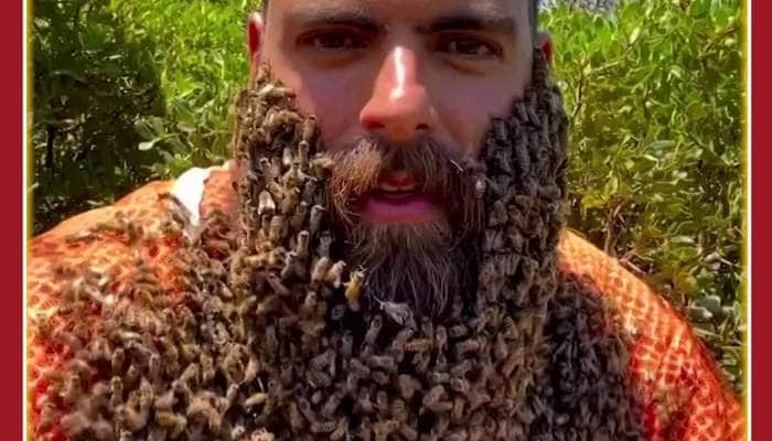 Funny Man with Honey Bee Beard Talks Cool Video Viral