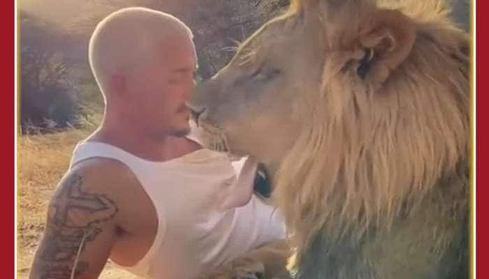 Hugs Kisses Between Lion and Man: Netizens Stunned Video Viral