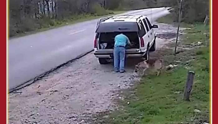 Sad Viral Video: Owner Leaves Dog On Road, See Dog's Reaction
