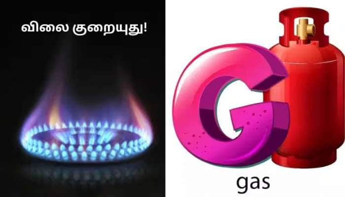 LPG Gas Price: மகிழ்ச்சி! சமையல் கேஸ் சிலிண்டரின் விலை 200 ரூபாய் வரை குறையலாம்