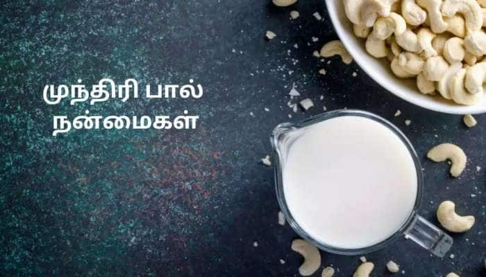 ஆரோக்கியத்தின் பொக்கிஷம் முந்திரிப்பால்! ஒரு கிளாஸ் குடிச்சா நோய்க்கு டாட்டா சொல்லலாம் title=