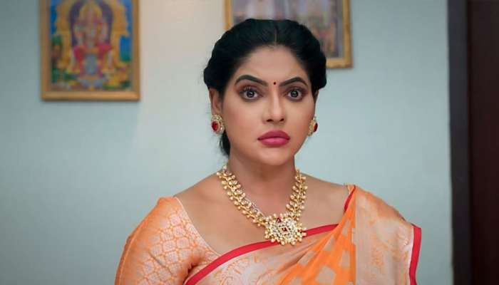 சீதா ராமன் அப்டேட்: சீதா போட்ட மாஸ்டர் பிளான்.. மகாவுக்கு ரெடியாகும் ஆப்பு