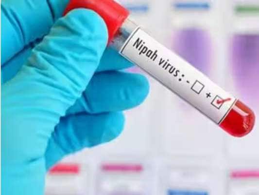 Nipah virus: கேரளாவிற்கு வந்துவிட்டதா நிபா வைரஸ்! சந்தேகத்திற்குரிய மரணங்களால் பீதி title=