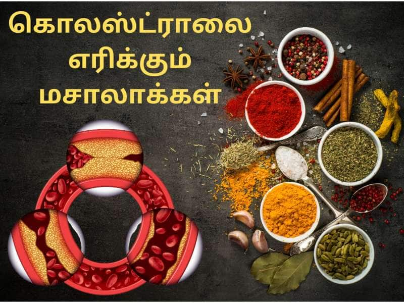 கொலஸ்ட்ராலை எரித்து பிபியை கட்டுப்படுத்தும் ‘சில’ அற்புத மசாலாக்கள்! title=