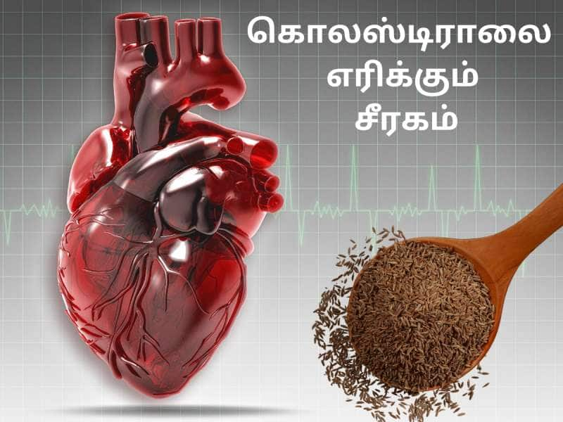 கொழுப்பையும் கொலஸ்டிராலையும்  எரிக்கும் சீரக நீர்... எடுத்து கொள்ளும் சரியான முறை! title=