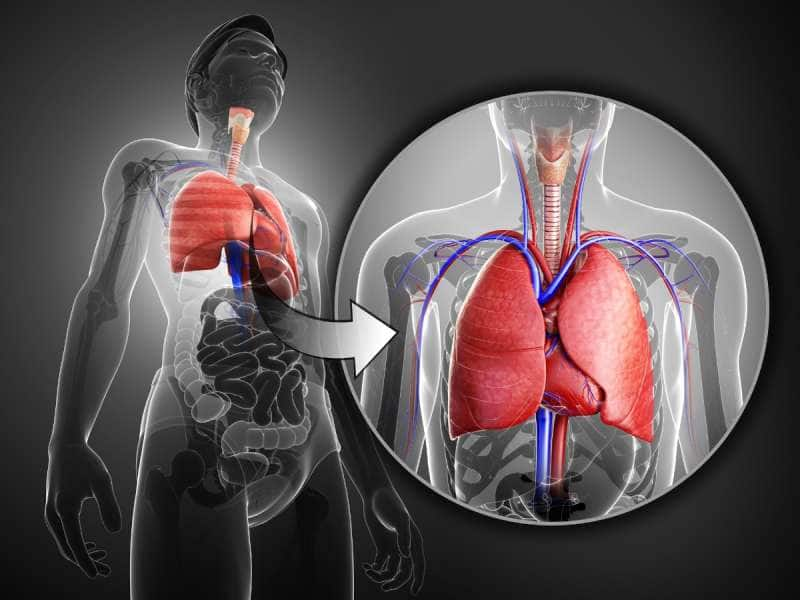 Lungs Detox: நுரையீரலை சுத்தம் செய்ய கடைபிடிக்க வேண்டியவை! title=