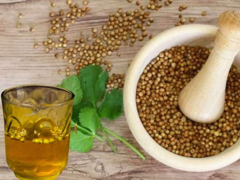 கொத்தமல்லி நீர்: எடை இழப்பு முதல் அசிடிட்டி வரை.. அசத்தலான வீட்டு வைத்தியம்