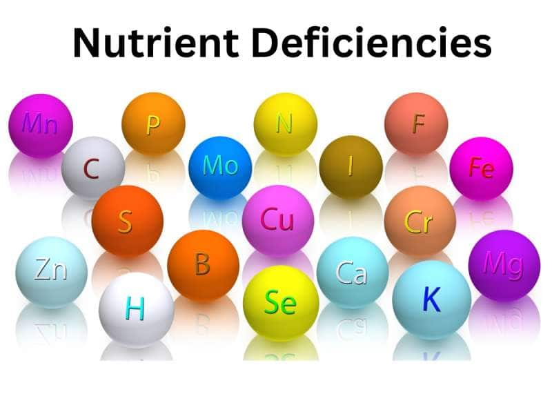 7 வகை ஊட்டசத்து குறைபாடும்... அவற்றின் அறிகுறிகளும்!