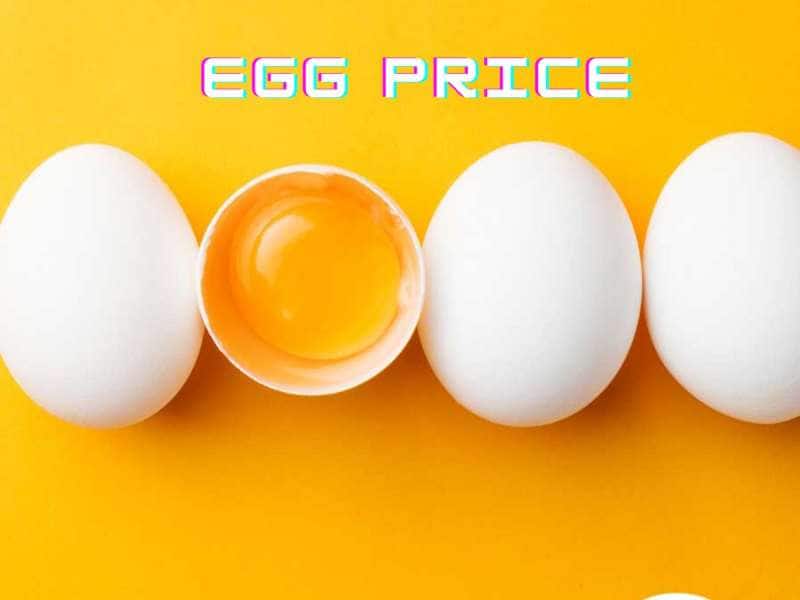 Egg Rate: உலகிலேயே முட்டை விலை அதிகமான நாடு எது தெரியுமா? அதிர வைக்கும் விலை