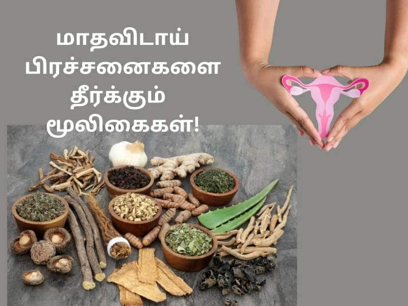 PCOS: மாதவிடாய் பிரச்சனைகளை தீர்க்கும் 5 ‘அற்புத’ மூலிகைகள்!