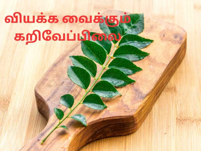 நீரிழிவு முதல் உடல் பருமன் வரை... வியக்க வைக்கும் கறிவிப்பிலை வைத்தியம்...!!