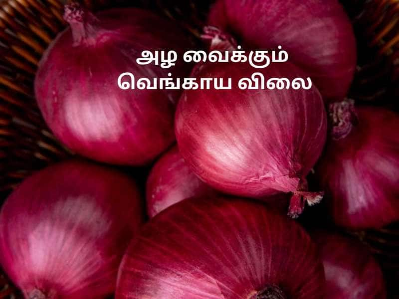 Onion Price: பண்டிகை காலத்தில் வெங்காய விலை அதிரடியா உயருதே! கவலையை தீர்க்கும் அரசு