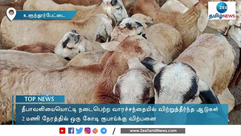Unbelievable Goats sold for one crore in 2 hours on account of diwali