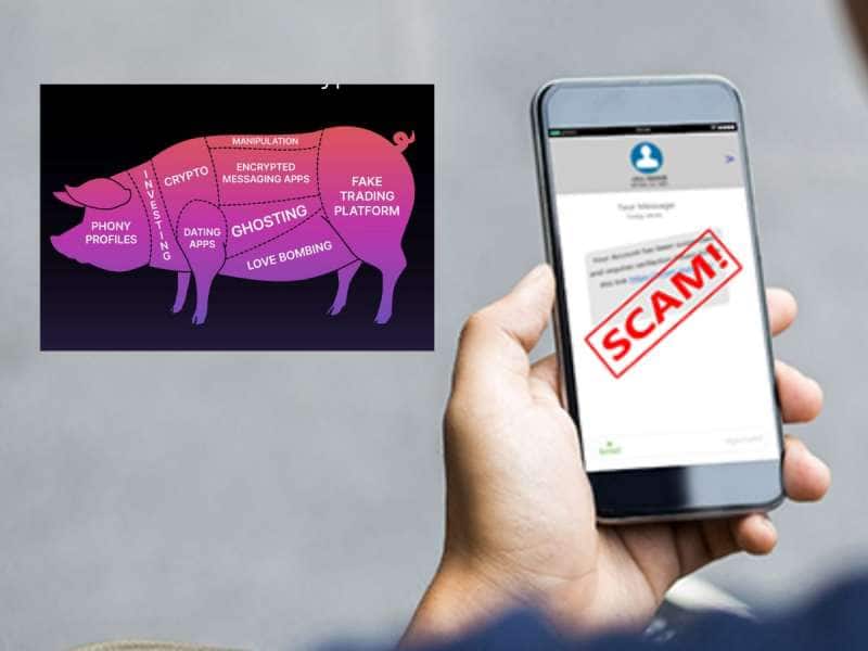 pig butchering scam: நம்ப வைத்து கழுத்தறுக்கும் வேலையை செய்யும் புதுவித மோசடி? 