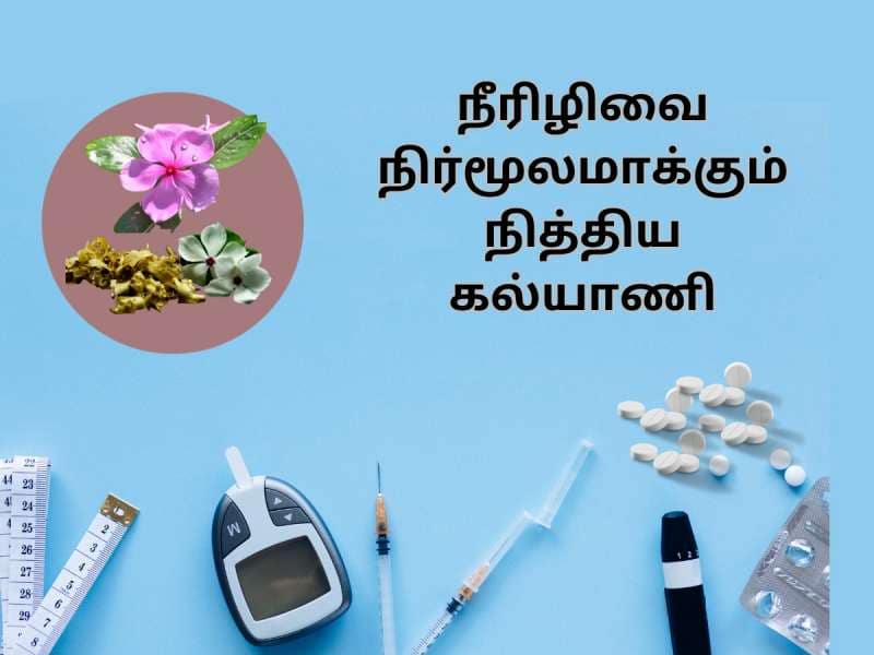 சுகர் மாத்திரையே வேண்டாம்..  நீரிழிவை நிர்மூலமாக்கும் நித்திய கல்யாணி..!