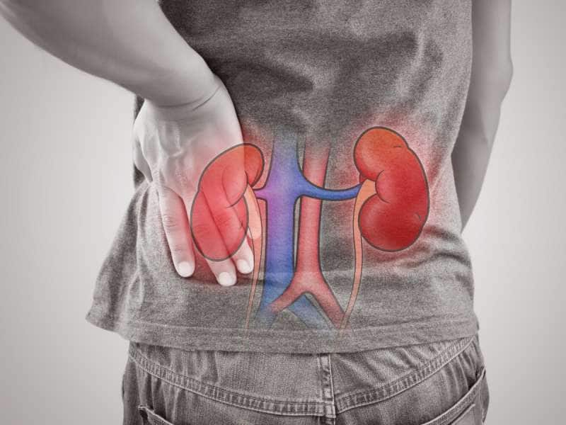 Kidney Detox: கிட்னியை செலவில்லாம டீடாக்ஸ் செய்யணுமா... ‘சில’ ஆயுர்வேத டிப்ஸ் இதோ...!!