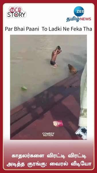 Monkey Attacks Romancing Couples in River: Viral Video