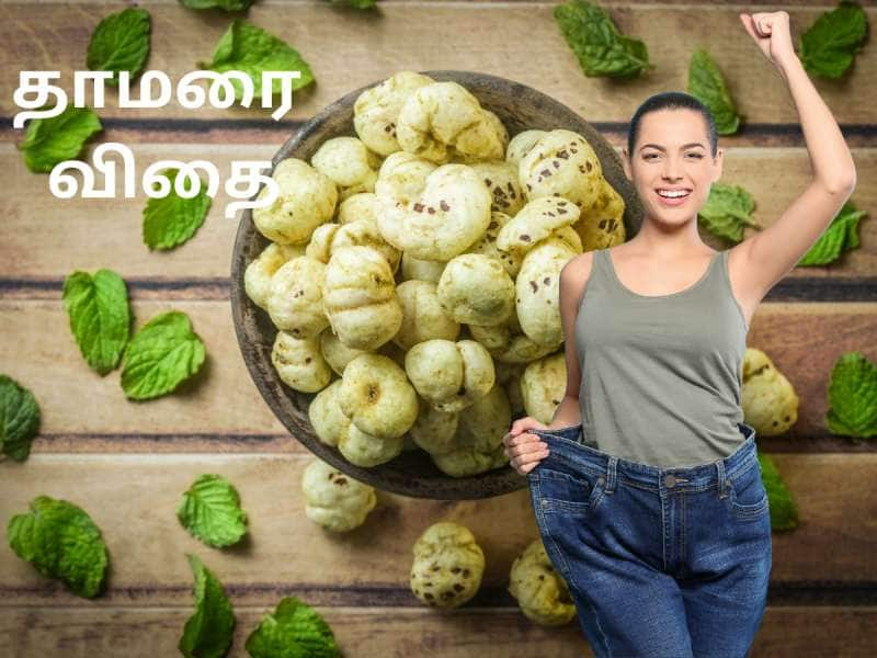 தொப்பை கொழுப்பை எரிக்கும் மக்கானா... சில சுவையான ரெஸிபிகள் இதோ..!!