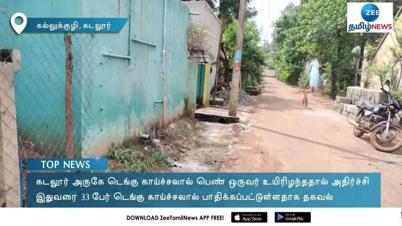 Woman dies due to dengue fever in cuddalore