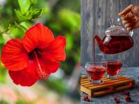 Herbal Tea: மாதவிடாய் வலி மற்றும் இரத்த அழுத்தத்தை சீர் செய்யும் ஆயுர்வேத தேநீர்