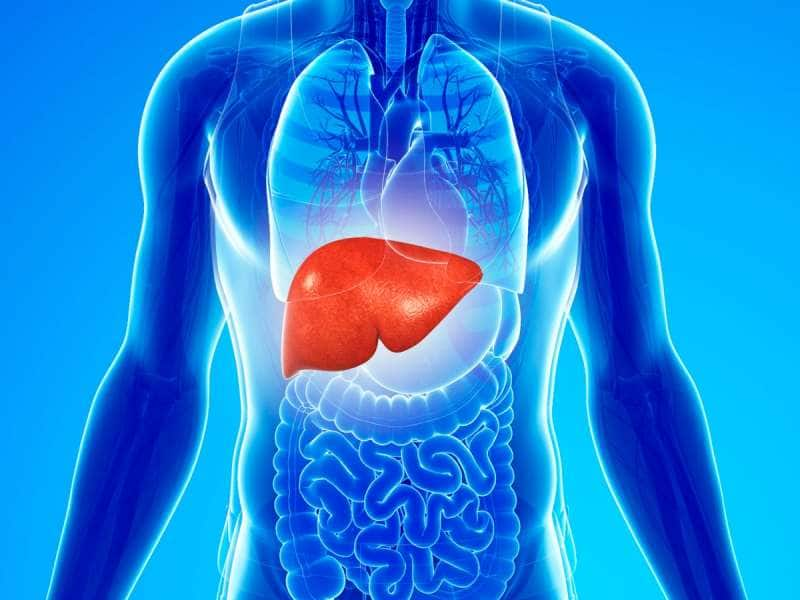 Liver Health: சேதமான கல்லீரலையும் சீர்செய்யும் ‘சூப்பர்’ உணவுகள்!