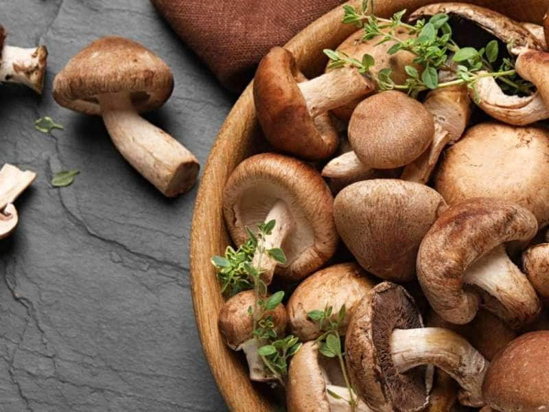 Mushrooms: காளான் சாப்பிட்டால் இந்த 5 நோய்களில் இருந்து உங்களை பாதுகாக்கலாம்!